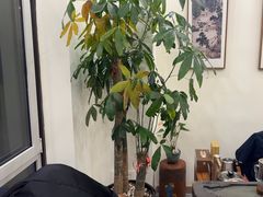 -八马茶业(星海胜利路旗舰店)