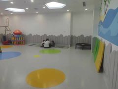 -金色雨林学习力培优(专注力提升)