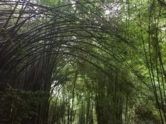 -四洞沟景区