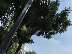 -海合安天津极地海洋公园