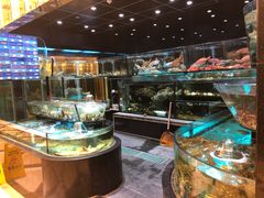-金翠皇宫粤菜·点心·海鲜(科技园店)