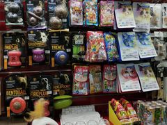 -瑞派宠物医院·24小时骨科·心脏·核磁(哈尔滨南岗店)