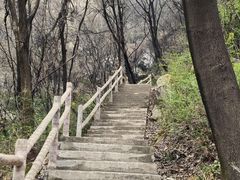 -太平万花山景区