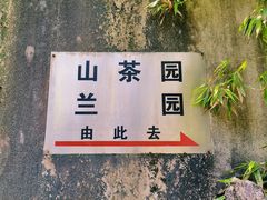 -南山植物园
