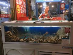 -信不信由你博物馆