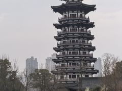 -洋湖国家湿地公园