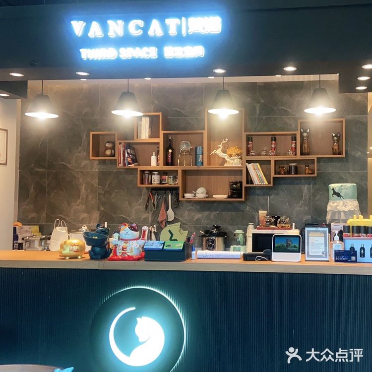 「VanCat梵猫(龙鼎万达店)」