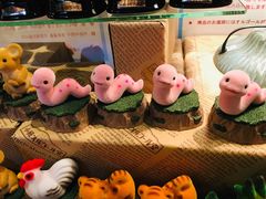 -小樽八音盒堂(手工制作体验馆店)