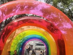-金鸡湖桃花岛
