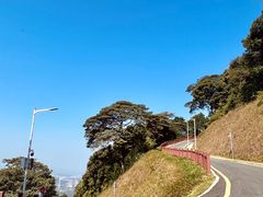 -黄埔油麻山森林公园