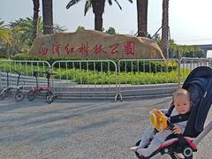 -宝安西湾红树林湿地公园