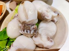 -朱氏胖子烂火锅(洪崖洞店)