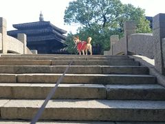 -韩湘水博园