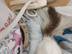 -猫域·湾主题猫咖·宠物吧(南坪城市广场店)