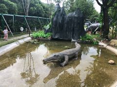 -无锡动物园·太湖欢乐园