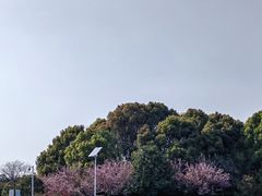 -狼山风景名胜区