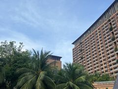 -三亚湾红树林度假世界(木棉酒店)