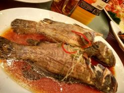 -上海雅居乐万豪侯爵酒店·宴会厅
