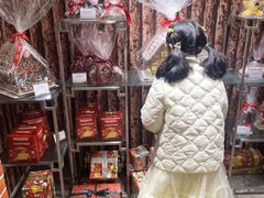 -北京朝阳悠唐皇冠假日酒店