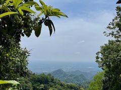 -青城山