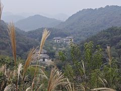 -桃花岭景区