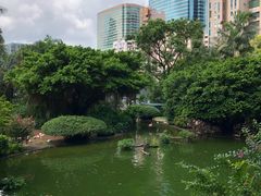 -九龙公园