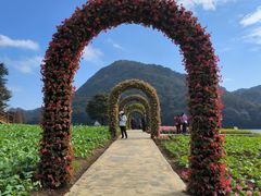 -广州市石门国家森林公园