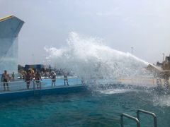 -秦皇岛乐岛海洋王国