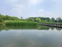 -溱湖国家湿地公园