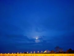 -春花秋色城市公园