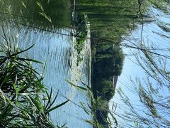 -上海怡沁园度假酒店