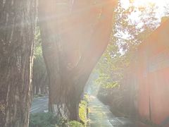 -大连植物园