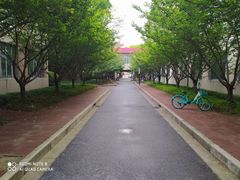 -上海财经大学(国定路校区)