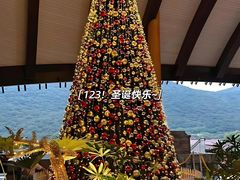 -三亚中亚国际大酒店