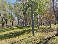 -长白岛森林公园