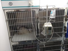 -宠颐生宠物医院外科·内科·皮肤科·影像科(石龙店)