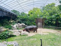 -上海野生动物园