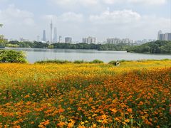 -海珠湖公园