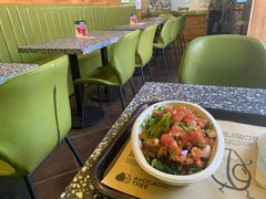 -油梨树AVOCADO TREE(顺义新国展店)