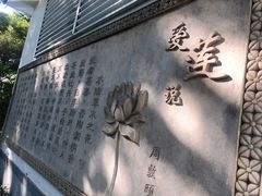 -晓港公园