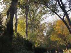 -西安市长乐公园