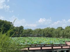 -黟县屏山村