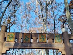 -灵谷景区