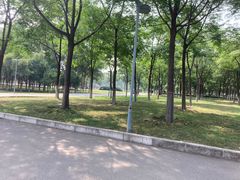 -西安浐灞国家湿地公园