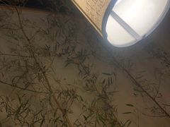 -十二舍·湯物素煮(江泰潤政店)