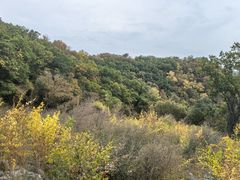 -灵山