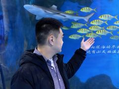 -重庆欢乐海底世界