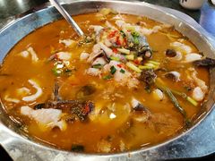 -重庆火锅水库鱼庄(南油店)