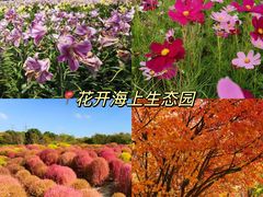 -上海山野camping·户外天幕烧烤·团建拓展营地