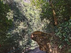-紫云谷景区